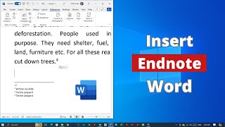 How to Insert Endnote on Microsoft Word [upl. by Lauretta634]