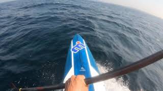 SUP Downwind with MISTRAL EQUINOX 14245 Aug2020 [upl. by Illil]