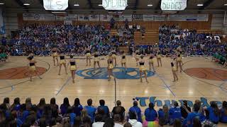 RHS 2018 Sadies Rally and Dance Team Performance [upl. by Charry]