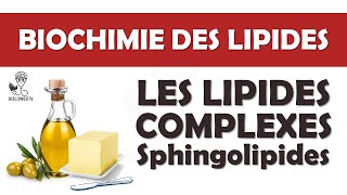 Biochimie des Lipides Complexes  Introduction aux Sphingolipides [upl. by Ecarret183]