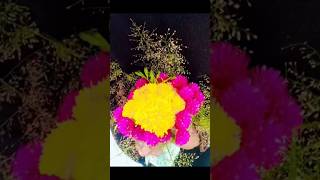 simple bouquet 💐 vadamalliterraceflowers  shortsvideo [upl. by Notwal213]