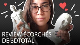 Review des écorchés anatomique de 3DTotal utile [upl. by Adlitam911]