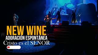 NEW WINE  Cristo es el SEÑOR amp Espontáneo 😭😭 [upl. by Otreblasiul757]