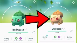 Pokemon GO  HOW TO GET SHINY BULBASAUR EASILY [upl. by Ilrak]