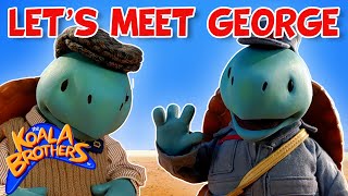 Lets Meet George 🐢👋  KoalaBrothersTV  30 Mins  compilation  Childrens Animation Series [upl. by Kentiga]