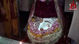 कालकाजी मंदिर आरती  kalika mayi mandir Aarti Live  kalka ji Delhi india  MiMedia [upl. by Hsirrehc]