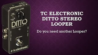 TC Electronic Ditto Stereo Looper [upl. by Aisek]