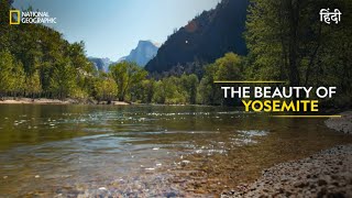 The Beauty of Yosemite  America’s National Parks  हिन्दी  Full Episode  S1E3  Nat Geo [upl. by Jennine]