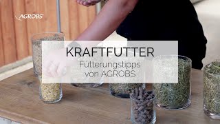 Kraftfutter für Pferde  Fütterungstipps von AGROBS [upl. by Nnaael]