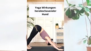 Der herabschauende Hund Wirkungen yogafüranfänger [upl. by Deane]