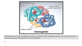 Hemoglobin structure [upl. by Ecinrev692]