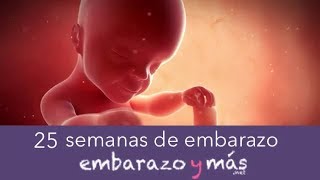 25 semanas de embarazo  Sexto mes  EMBARAZOYMAS [upl. by Gizela45]