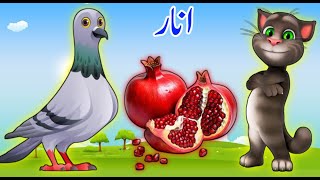 Alif baa taa  Alif se anar  اُردو حروف اور الفاظ  Huroof e Tahaji  Urdu Rhymes for Children [upl. by Moran]