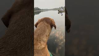 Exploring the lower Okavango delta [upl. by Ahsekan]