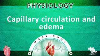 L12 Capillary circulation and edema Physiology [upl. by Eirojram873]