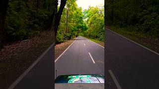 Gorumara National ParkForest road shorts forest road gorumaranationalpark nature youtubeshorts [upl. by Evvie251]