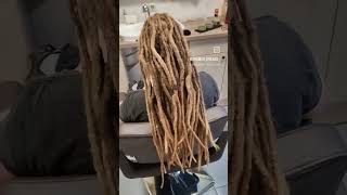 dreadlock dreadlocks dreads [upl. by Demodena]