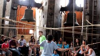 Cathedral Bells Concert  Valencia Spain [upl. by Oina]