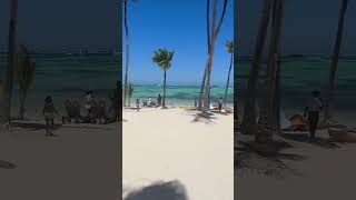 Barcelo Bavaro Palace Пунта Кана [upl. by Nomolas]