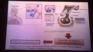 FISIOPATOLOGIA DE LIQUIDOS Y ELECTROLITOS DESHIDRATACION [upl. by Heyra]