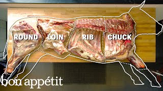 How To Butcher An Entire Cow Every Cut Of Meat Explained  Bon Appetit [upl. by Morrissey]