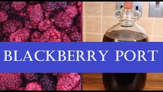 Making Blackberry Port Fortified Wine [upl. by Zohara]