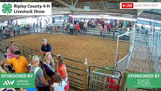 2024 Ripley County 4H Fair  Swine  Gilt Show [upl. by Nnaeilsel761]