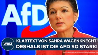 WAGENKNECHT Klartext der Bundestagsabgeordneten Das ist der Grund warum die AfD so stark ist [upl. by Osmo]