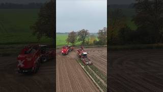 GRIMME REXOR 6200 amp REXOR 6300 am Rüben roden  DEHR AGRARSERVICE [upl. by Gaughan]