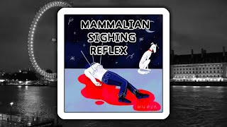 Mammalian Sighing Reflex  Wilbur Soot Full Album [upl. by Ecirtnas164]