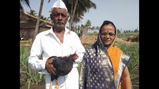 झणझणीत चुलीवरचा गावाकडचा गावरान देशी कोंबडीचा रस्सा Village Style Chicken [upl. by Eromle]