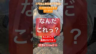 宮古島宮古島観光宮古島vlogニモちんトラベラーニモちん宮古島スポット [upl. by Aksoyn539]