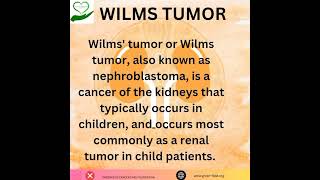 Wilms tumor is kidney tumor found in children represents 90 of kidney tumors in children [upl. by Matejka]