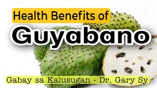 Guyabano Health Benefits  Dr Gary Sy [upl. by Weaver]