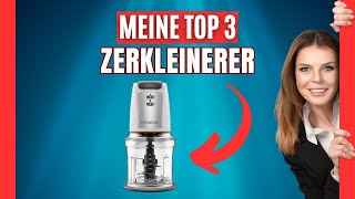 Die besten Zerkleinerer 2024 Top 3 Mixer Vergleich [upl. by Alemac]