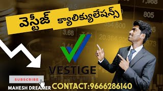 vestige business plan Telugu  9666286140 and income plan telugu [upl. by Ardnuassak]