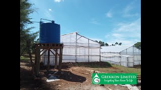 Steps in Wooden Greenhouse Construction in Kenya  Greenhouse Farming in Kenya  GREKKON LIMITED [upl. by Dorthy]