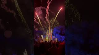 Happily Ever After Fireworks Show shorts show fireworks disney [upl. by Glogau]