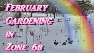 February Gardening in Zone 6b Its COLD Seed Starting amp Lettuce Peppers Herbs Blueberries [upl. by Mota]