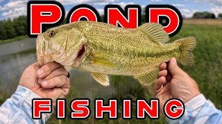 Tips To Catch More Fish While Pond Fishing [upl. by Ahseym]