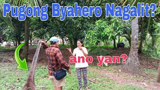 PUGONG BYAHERO GALIT NA [upl. by Binah]