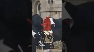 Piece of the sword breaks off goes flying on the dismount royalguards [upl. by Tterrag577]