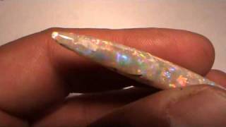 OPALIZED BELEMNITE FLASHFIREOPALS [upl. by Obie549]