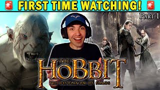 The Hobbit The Desolation of Smaug Part 1  First Time Watching  Movie Reaction [upl. by Mei]