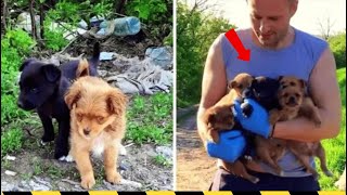 Man Thought He Was Going To Save A Puppy But He Got ‘Ambushed And Attacked’ [upl. by Golda]