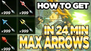 7 Ways to Get MAX ARROWS in Breath of the Wild  Austin John Plays [upl. by Enitsuj]