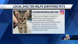 Greater Cincinnati shelter helping pets who survived Clermont County house explosion [upl. by Adler]