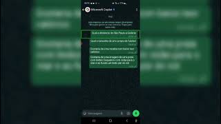 quot Mais uma inteligência artificial para todos nós agora no WhatsApp Confira é tudo nosso [upl. by Aicirtal]