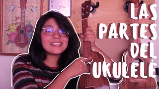 Aprende las Partes del Ukulele CORRECTAMENTE  Tutorial Ukulele  Ukulelesh  Andrea Corona [upl. by Breen284]