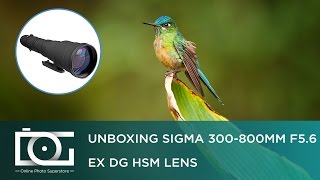 REVIEW  SIGMA 300800mm F56 EX DG HSM Telephoto Lens NIKON amp CANON DSLR Cameras [upl. by Aikit]